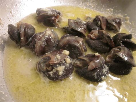 Cooked Snails Without Shell at Everett Reynolds blog