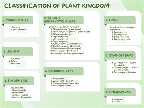 Image result for Angiosperms Classes