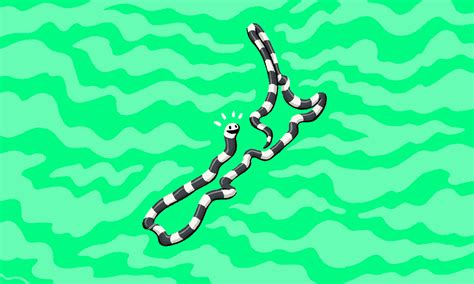 The banded sea krait is New Zealand’s sea snake | The Spinoff