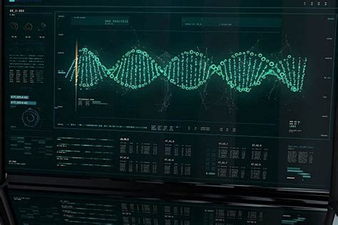 Windows GUI History 的图像结果