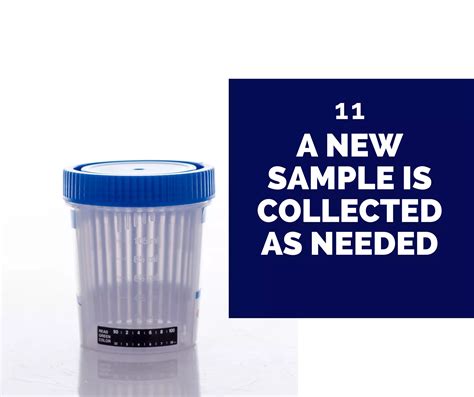 Probation drug testing procedures | PDF