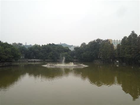 2022逸仙湖公园游玩攻略,中山市区的一个比较大的公园...【去哪儿攻略】