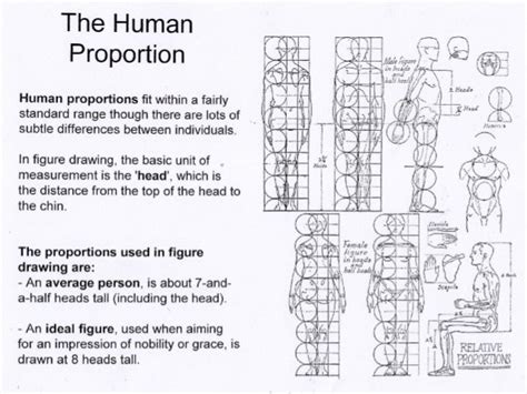 Drawing proportions, Figure drawing, Human figure drawing