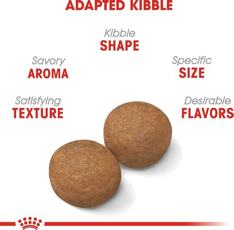 Buy Royal Canin Large Breed Adult Dry Dog Food, 30 lb Bag Online at ...