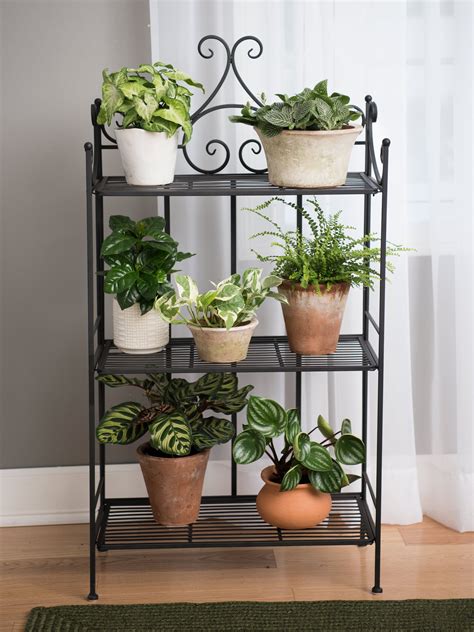 Rectangular Iron Plant Stand Outdoor / Search results for outdoor ...