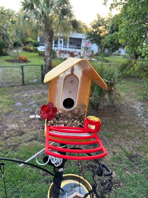 XL 3D Printed Perch for Bird Buddy Feeder - Etsy