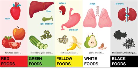 You are what you eat: Traditional Chinese medicine outlines a healthy ...