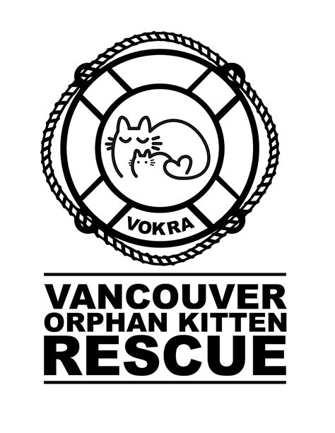 VOKRA : Logo Design on Behance