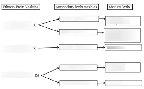 Intro Development 的图像结果