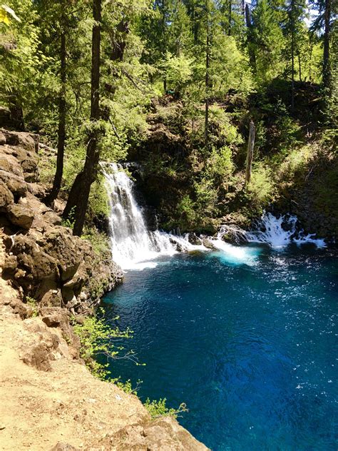Outventure of the Week: Mountain Biking the McKenzie River Trail, Oak ...