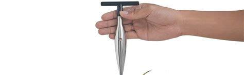 Buy P-Plus International Stainless Steel Coconut Opener Tool Tender ...