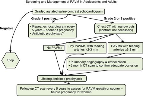 Pulmonary Arteriovenous Malformations: Diagnosis and Management - Clinical Tree