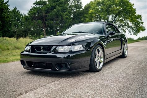 2003 Ford Cobra