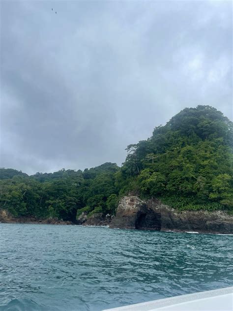 DARIEN LODGE (Punta Ardita) - Guesthouse Reviews & Photos - Tripadvisor