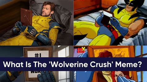 What Is The 'Wolverine Crush' Meme? The Wolverine Photograph Meme ...