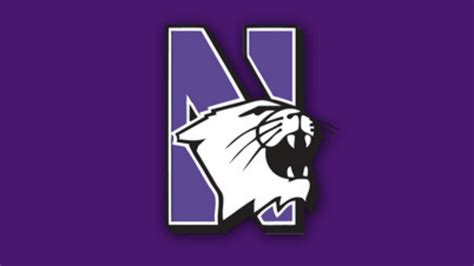 Northwestern University Wildcats Logo