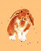 Image result for Bunny Artwork