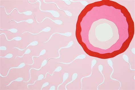 How to Improve Egg and Sperm Quality? - Bump Vibes
