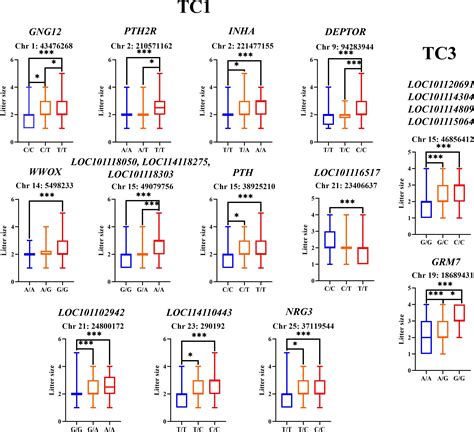 Genome-Wide Association Study Revealed Candidate Genes Associated with ...