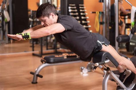 3 Best Bodyweight Back Exercises for Strong Back | Fintys