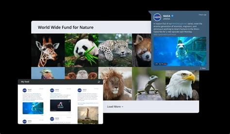 Image result for Web Feed Format RSS