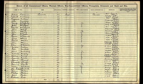 Pte Peter Mulhall 1st or 2nd Leinster Regiment - Soldiers and their units - The Great War (1914 ...