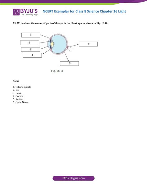 Image result for Science Lesson 16 Class 8 Question. Answer
