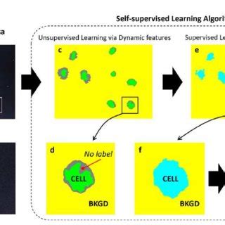 Self-Learning Algorithm Equation 的图像结果