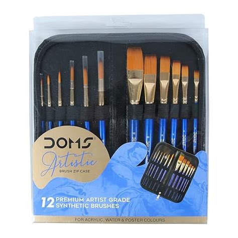 DOMS Artistic Paint Brush Set with Zip Case (12 Brushes x 1 Set ...