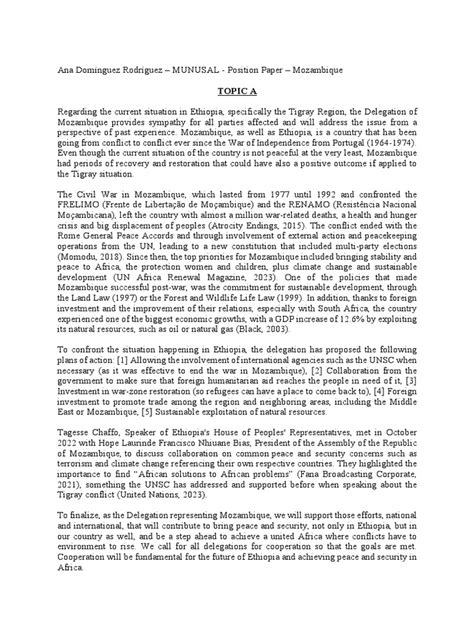 Image result for Model UN Paper Examples