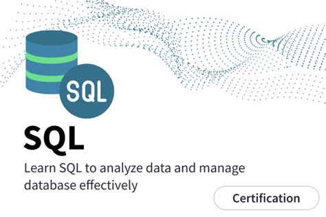 SQL Exam 的图像结果