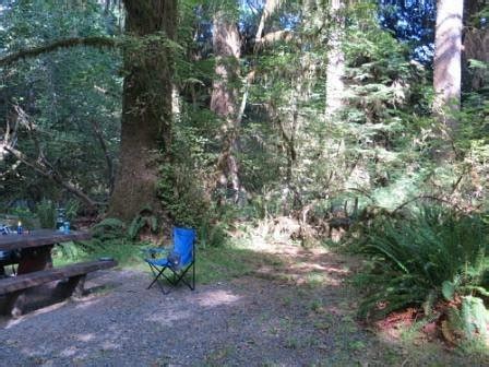 HOH CAMPGROUND (Olympic National Park) - Campground Reviews & Photos ...