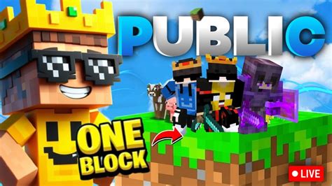 Minecraft Java Edition Public SMP 的图像结果