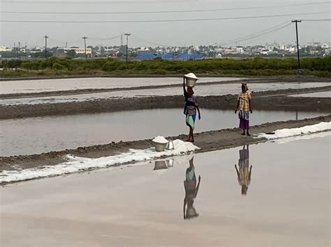 Tamil Nadu: Coastal areas of Thoothukudi District witness degradation ...