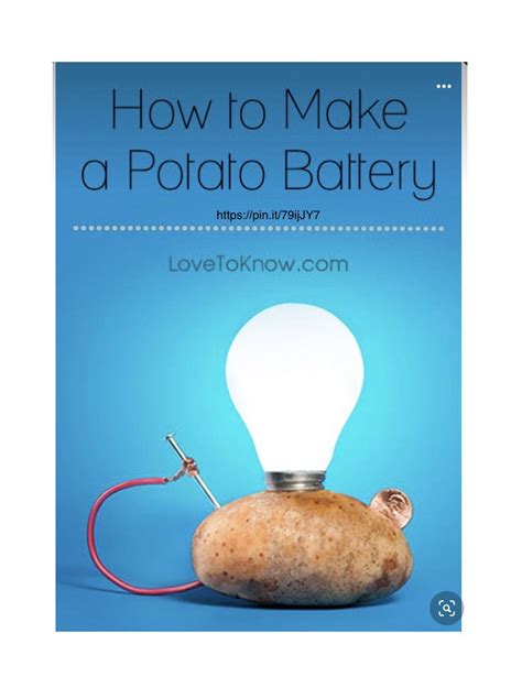 Grade 6 Science Projects 的图像结果