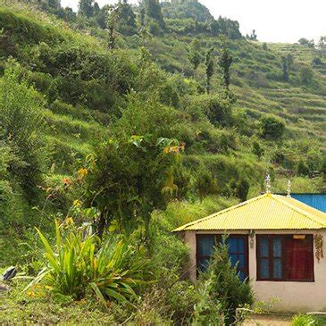 Website of Whispering Pines - Resort in Kanatal, Camping at Kanatal ...
