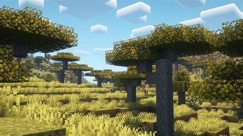 Image result for Pretty Minecraft Biomes