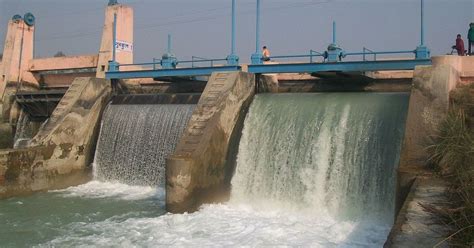 Angry elephants and disappearing fish: Small hydel plants are no green ...