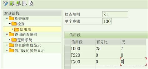 定义销售凭证和交货的信贷检查_sap 信贷检查规则-CSDN博客