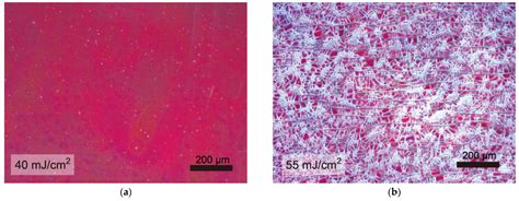 Printing Formation of Flexible (001)-Oriented PZT Films on Plastic ...