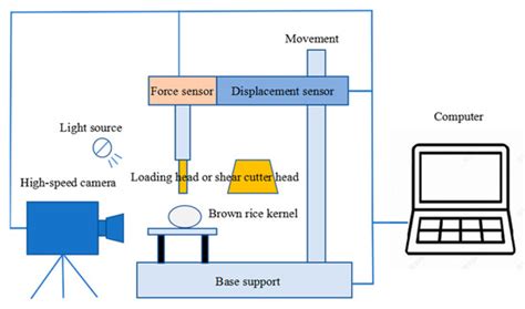 Processes | Special Issue : Agriculture Products Processing and Storage