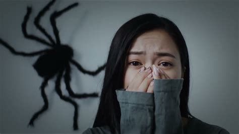 Image result for Flying Bug Identifier