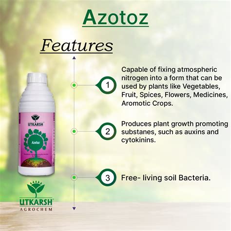 Azotoz (Azotobacter - Nitrogen Fixing Microbes)