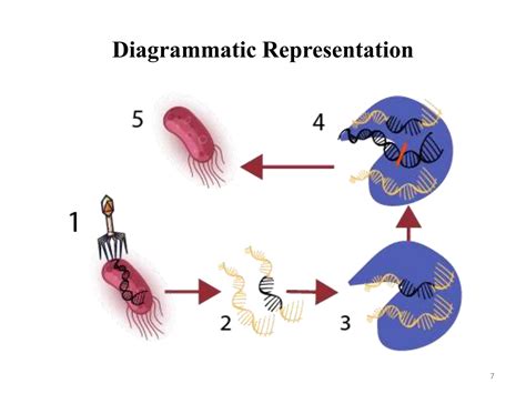 DNA Editing 的图像结果