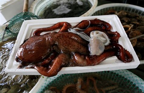 海货市场罕见深海章鱼王一米多长，500元被酒店老板定购