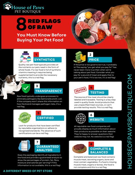 Mad Cat – House of Paws Pet Boutique