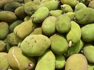 Dubai: Commercial consignment of jackfruit and green chilli exported to ...