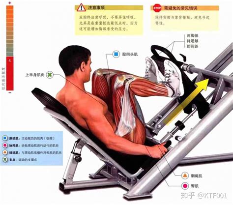 健身房中各种器械的正确使用方法是怎样的？ - 知乎