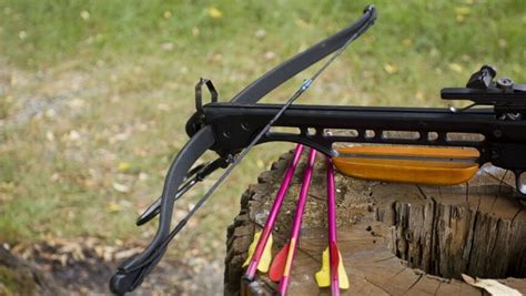 Image result for Stringing Crossbow Compound