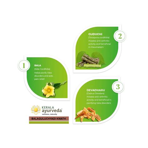 What Is Kwath / Kashayam & How We Can Make It at Home | Kerala Ayurved